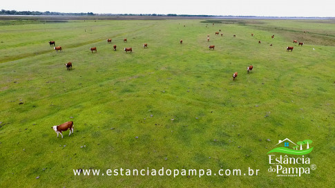 INICIO GADO TOP.00_02_58_12.Quadro042_c5ceda2ffa3b5f7ae561128408823d2c64057c10.jpg